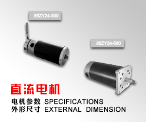 橫店集團(tuán)聯(lián)宜電機(jī)有限公司